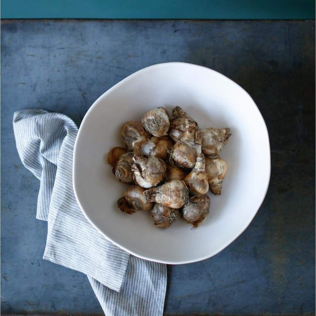 Classic Serving Bowl | White