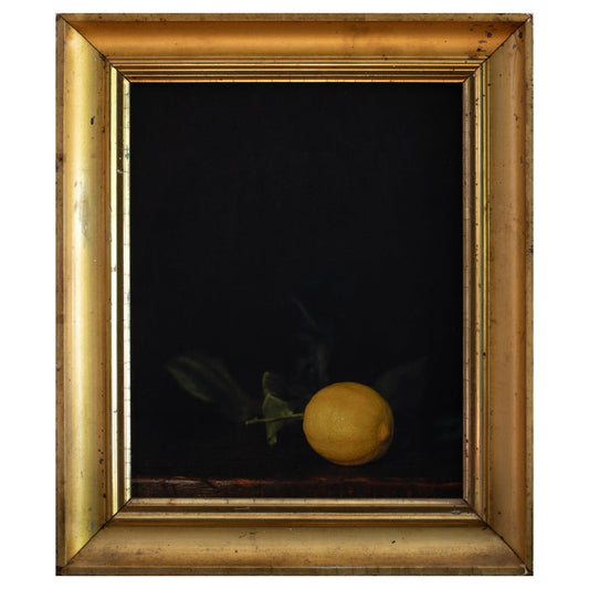 Winter Lemon | Jefferson Hayman