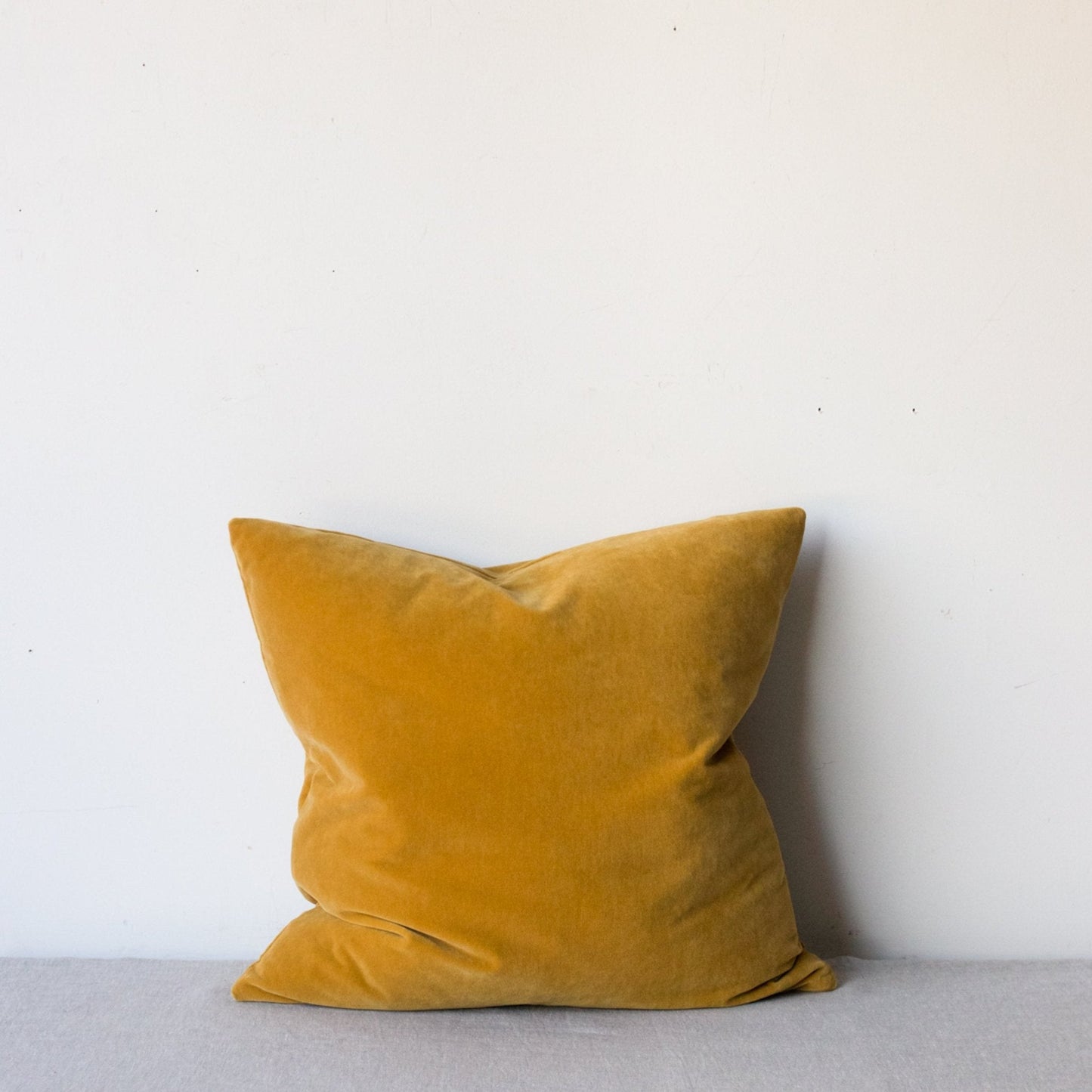 Emile Velvet Pillow Cover