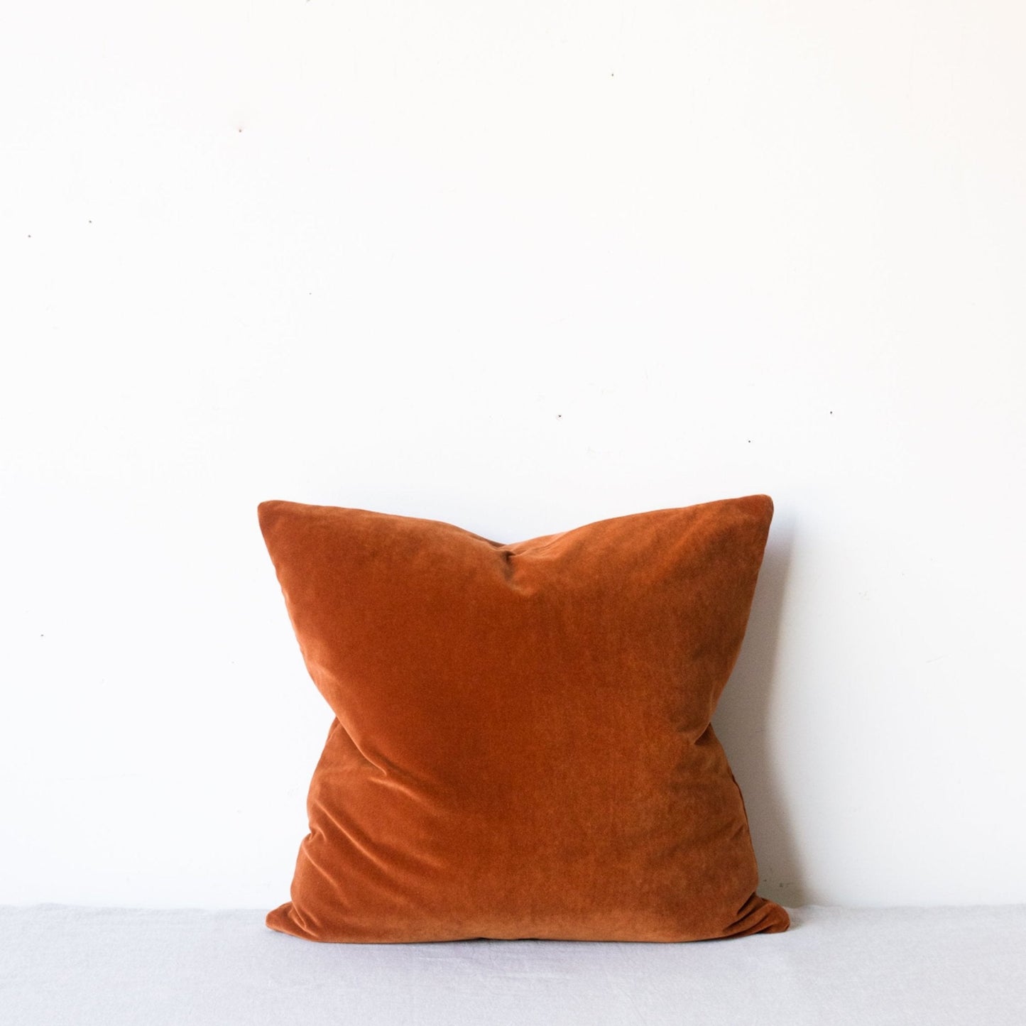 Emile Velvet Pillow Cover