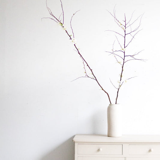 Moroccan Tadelakht | Tall Mustard Pot