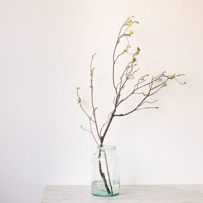 Vintage Pickling Jar